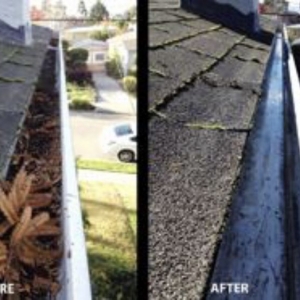 Photo of Black Creek Gutter