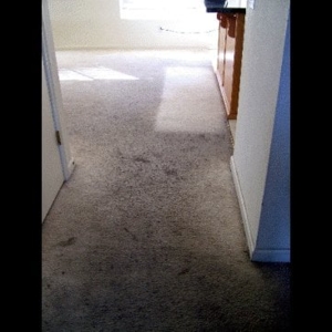 Photo of Good Lookn' Carpets