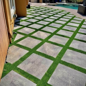 East Palo Alto HM Turf Paradise