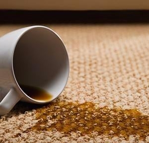 Photo of Gary's Carpet Cleaning and Upholstery