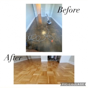 Bronx Lotus Flooring