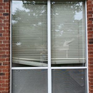 Photo of Madden Glass and Screens