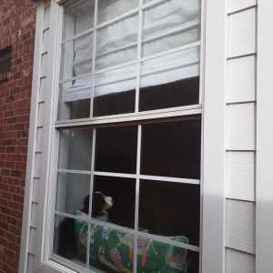 Photo of Madden Glass and Screens