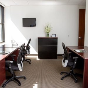 Photo of Corporate Suites Office Space - Madison Avenue