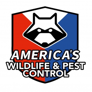 Photo of America's Wildlife Control