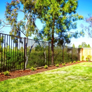 Photo of McMaster Iron