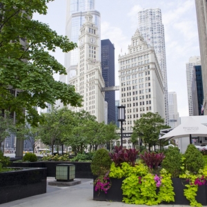 Photo of Streeterville Properties Group-Jameson Sotheby's