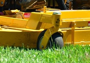 Photo of Beltrans Professional Lawn Care