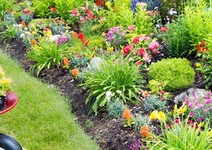 Photo of Beltrans Professional Lawn Care