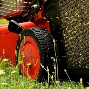 Photo of Beltrans Professional Lawn Care