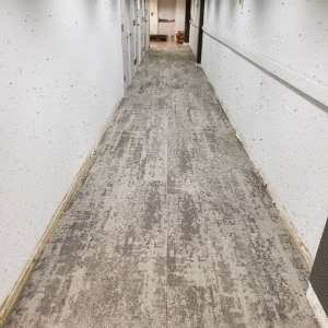 Photo of Palmetto Carpet