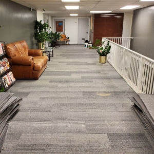Photo of Palmetto Carpet