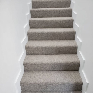 Photo of Palmetto Carpet