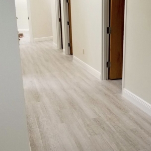 Photo of DM Classic Touch Cleaning and Janitorial Service