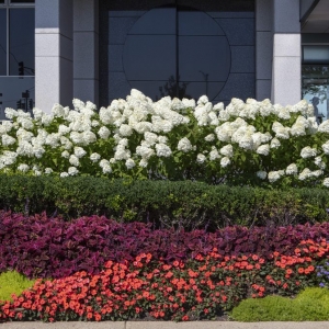 Photo of Christy Webber Landscapes