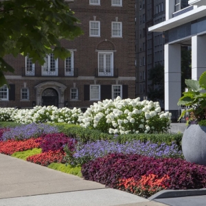 Photo of Christy Webber Landscapes