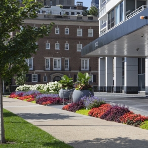 Photo of Christy Webber Landscapes