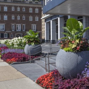 Photo of Christy Webber Landscapes