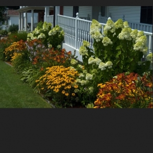 Columbus Keny Landscape