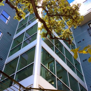 Photo of Weird Window Cleaning