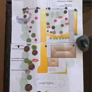 Photo of Zscape Landscape Designs