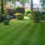 Photo of Weekly Lawn Care