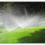Photo of Weekly Lawn Care