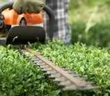 Photo of Gary's Lawn Service, LLC