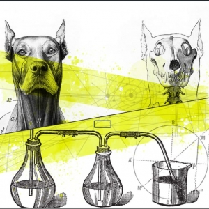 Photo of Pavlov Agency
