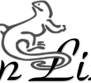 Orange Park Lawn Lizards, LLC