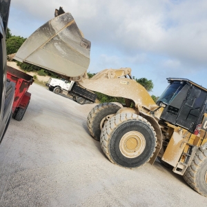 Photo of Adam's Lawn Service Austin