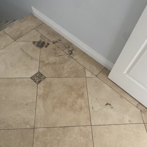 Photo of Wepa Commercial Cleaning