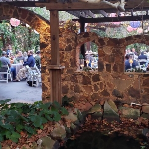 Photo of The Secret Garden at Roland's Nursery