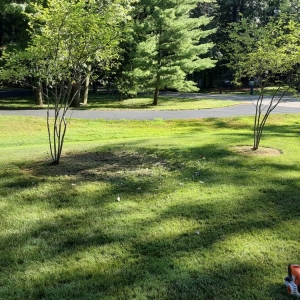 Pontiac Little's Lawn & Landscaping
