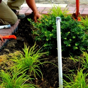 Photo of Colonial Land Design