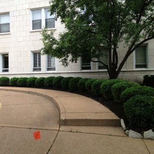 Photo of CB Home Improvement