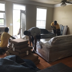 Photo of Tate the Great Moving
