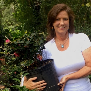 Photo of The Elegant Garden