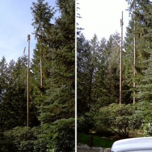 Photo of Lumberjacks Tree Service & Excavation