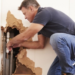 Photo of Structural Repair Of The Triad
