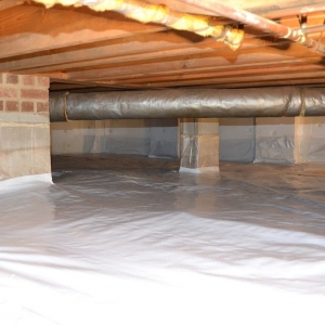 Photo of Structural Repair Of The Triad