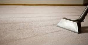 Photo of Carpet Cleaning SaginawÂ TX