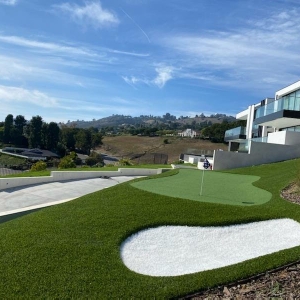 Photo of Smart Turf Artificial Grass