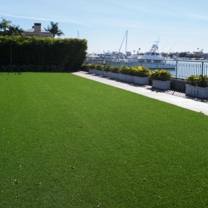 Photo of Smart Turf Artificial Grass