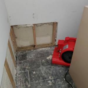 Photo of Global Carpet Cleaning & Water Damage Restoration