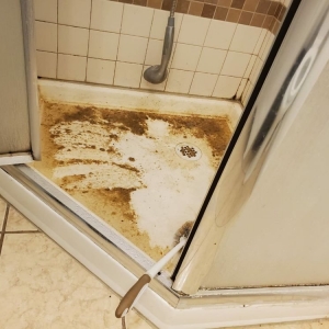 Photo of Global Carpet Cleaning & Water Damage Restoration