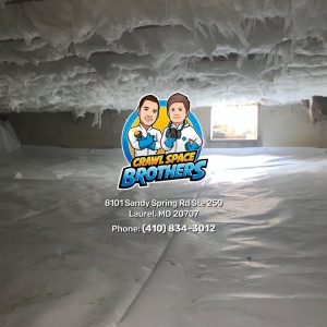 Photo of Crawl Space Brothers