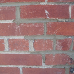 Photo of Accurite Construction