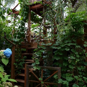 Photo of Urban Ecosystems