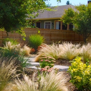 Photo of Garden Stories